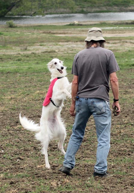 Storm - C'mon Daddy Let's Play